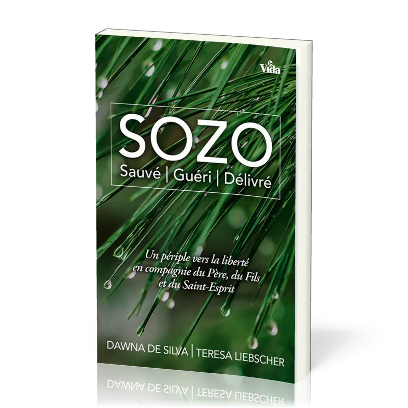 SOZO -Sauvé, guéri, délivré - UN périple vers la liberté en compagnie du Père, du Fils et du Saint-E