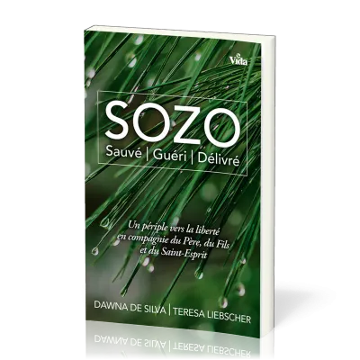 SOZO -Sauvé, guéri, délivré - UN périple vers la liberté en compagnie du Père, du Fils et du Saint-E