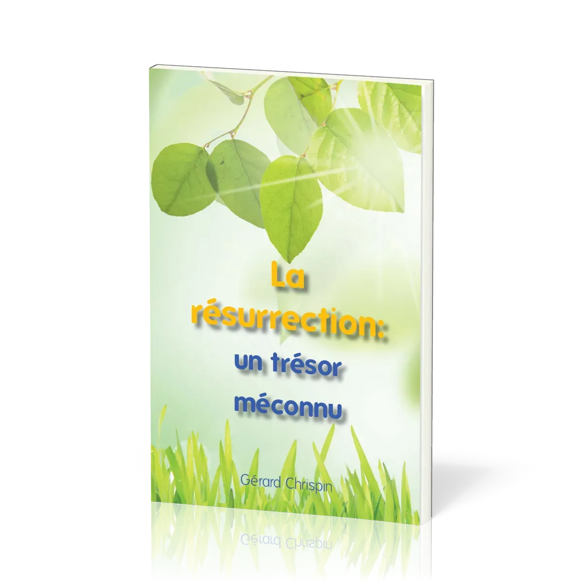 RESURRECTION : UN TRESOR MECONNU (LA)