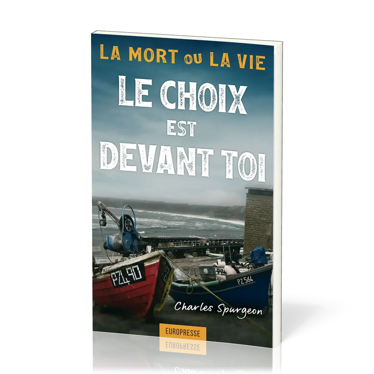MORT OU LA VIE (LA) LE CHOIX EST DEVANT TOI