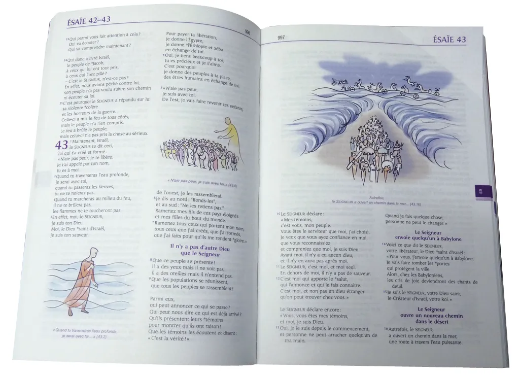 BIBLE PAROLE DE VIE SEMI-RIGIDE AVEC DESSIN D'ANNIE VALLOTTON