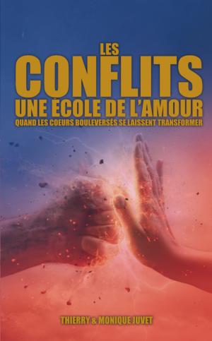 Conflits (Les), une école de l'amour - Nouvelle édition