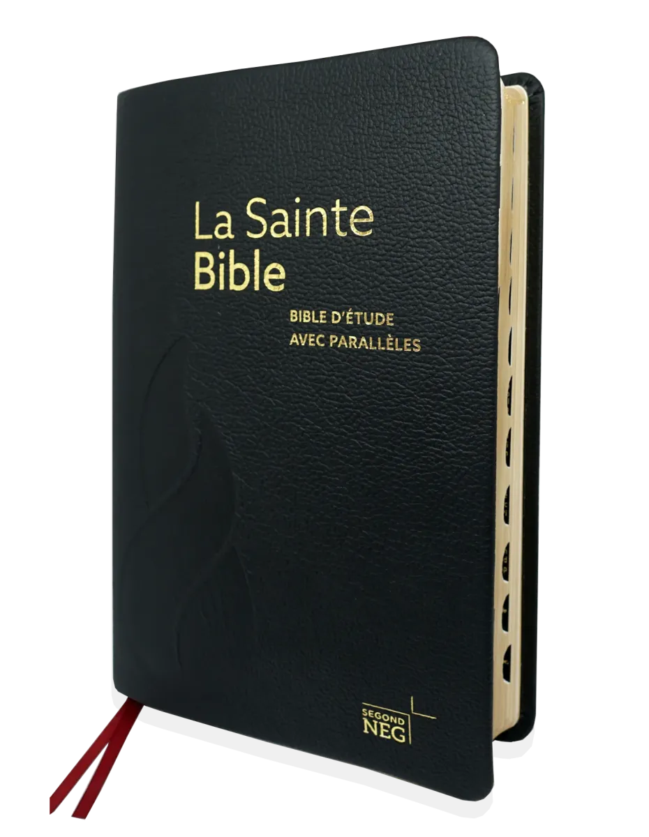 Bible d'étude NEG à parallèles, noire - Souple, cuir véritable, tranche or, onglets