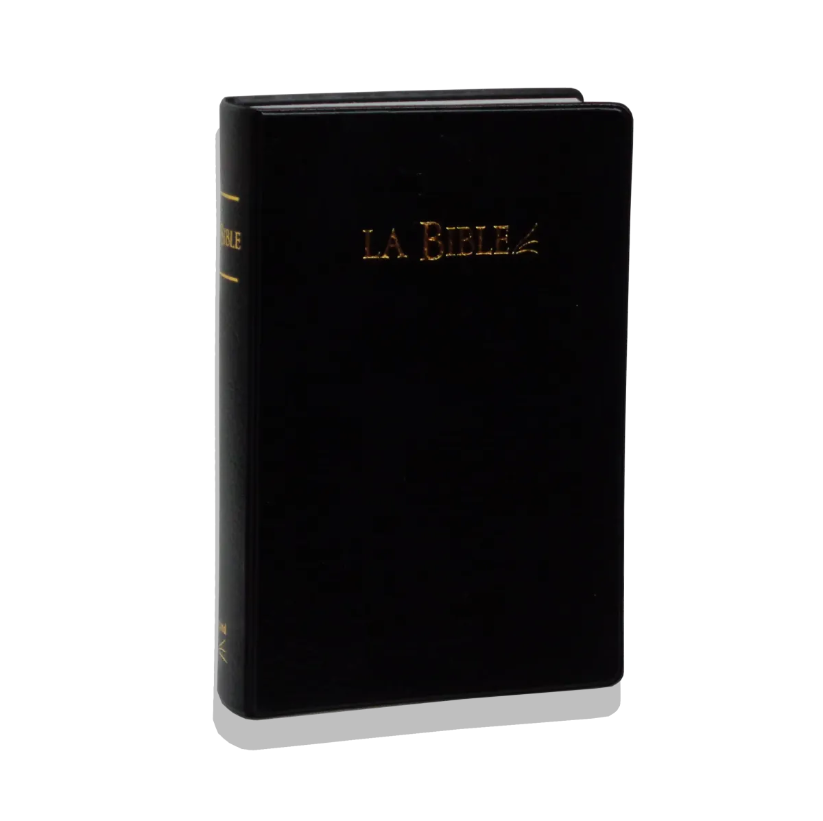 BIBLE SEGOND 21 PVC NOIR