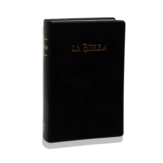 BIBLE SEGOND 21 PVC NOIR