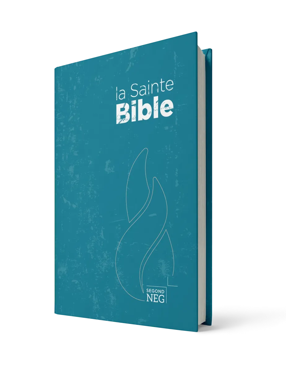 Bible NEG compact rigide bleue