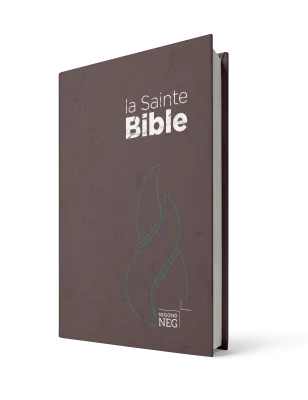 Bible NEG compact rigide brune