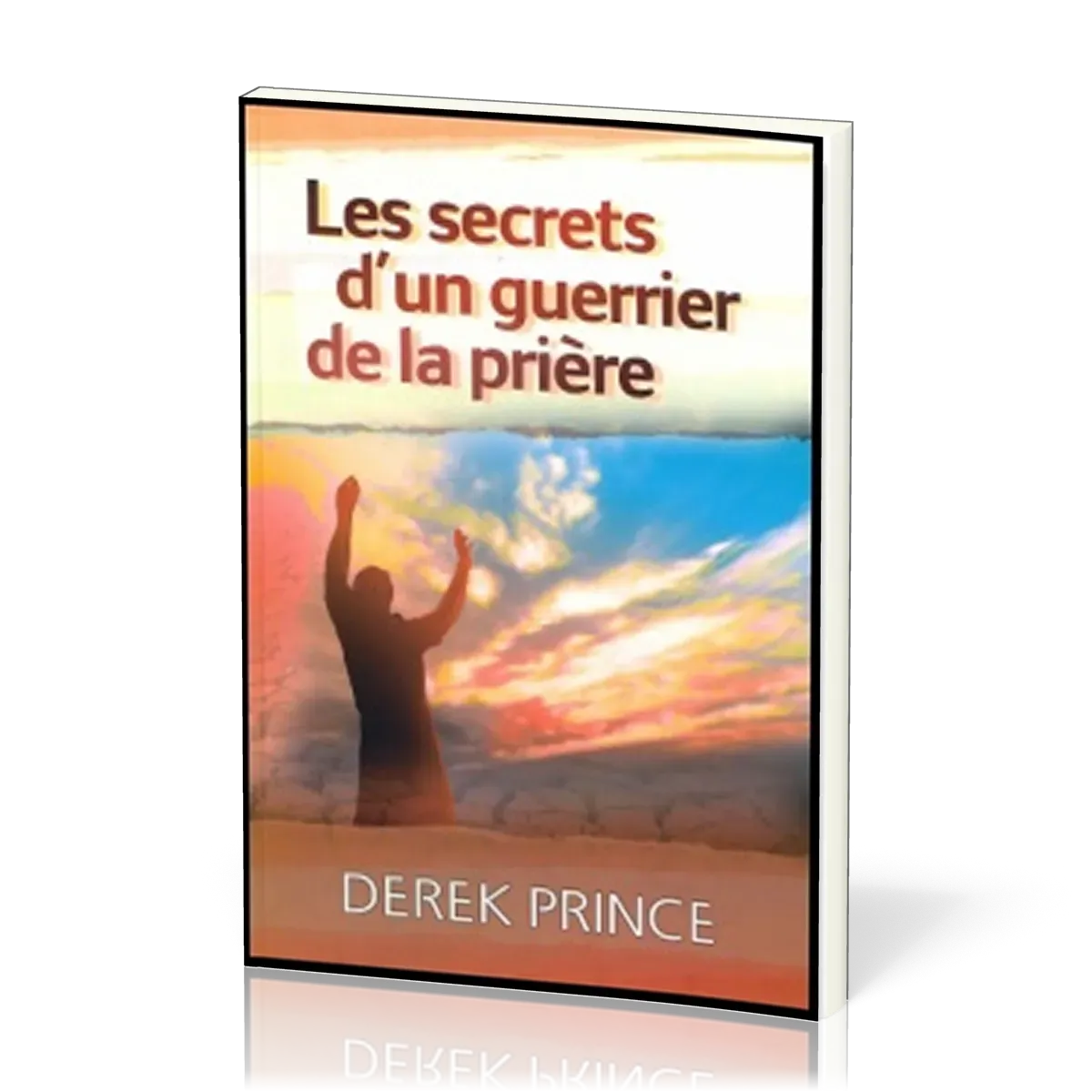 SECRETS D'UN GUERRIER DE LA PRIERE (LES)