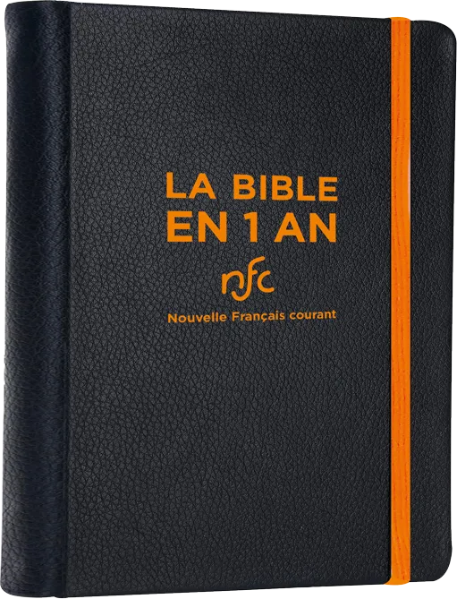 Bible NFC en 1 an