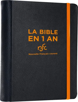 Bible NFC en 1 an