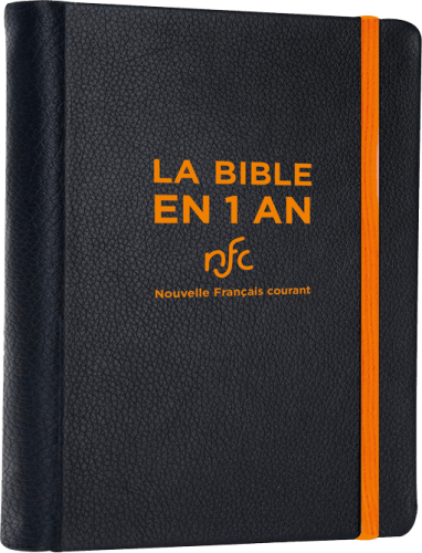 Bible NFC en 1 an