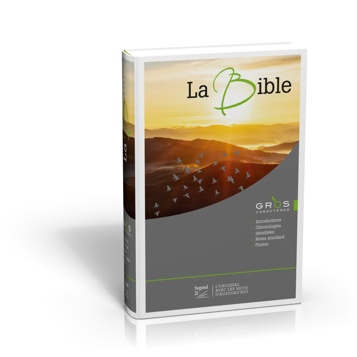 BIBLE SEGOND 21 GROS CARACTERE ILLUSTREE