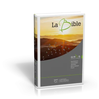 BIBLE SEGOND 21 GROS CARACTERE ILLUSTREE