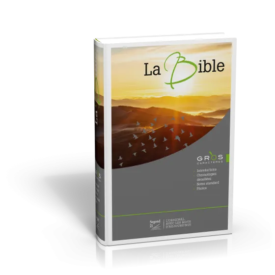 BIBLE SEGOND 21 GROS CARACTERE ILLUSTREE