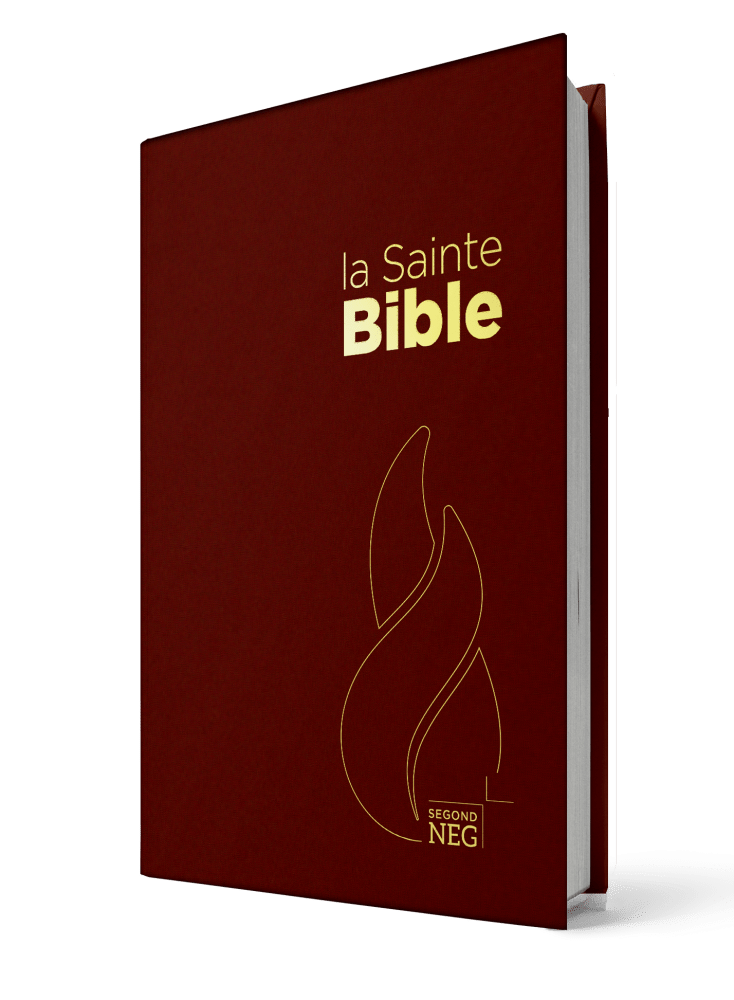 BIBLE NEG COMPACT RIGIDE GRENAT