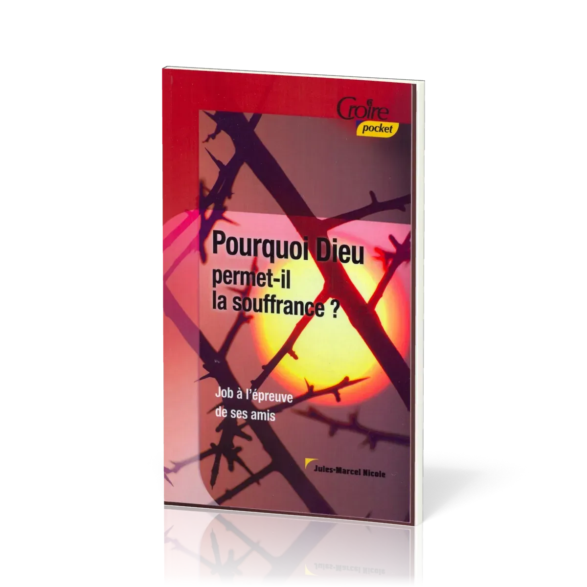 POURQUOI DIEU PERMET-IL LA SOUFFRANCE No 20 - JOB A L'EPREUVE DE SES AMIS, CROIRE POCKET