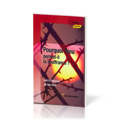 POURQUOI DIEU PERMET-IL LA SOUFFRANCE No 20 - JOB A L'EPREUVE DE SES AMIS, CROIRE POCKET