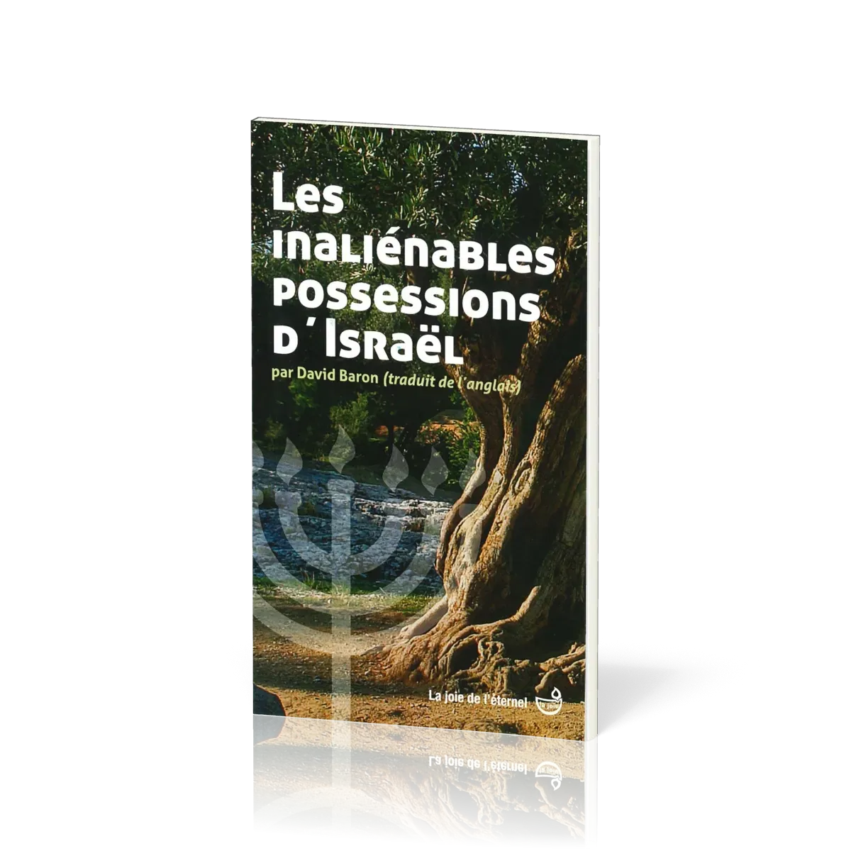 Inaliénables possessions d'Israël (les)