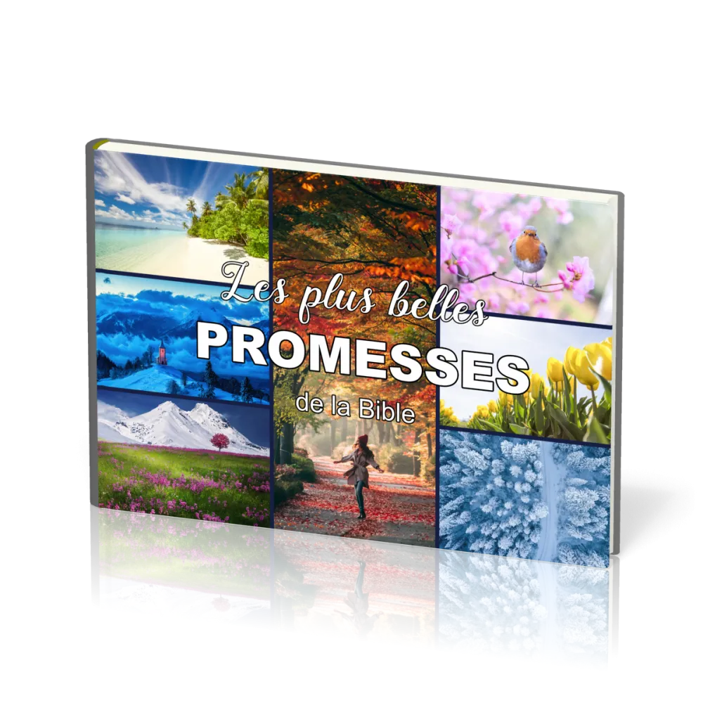 Plus belles promesses de la Bible (Les)