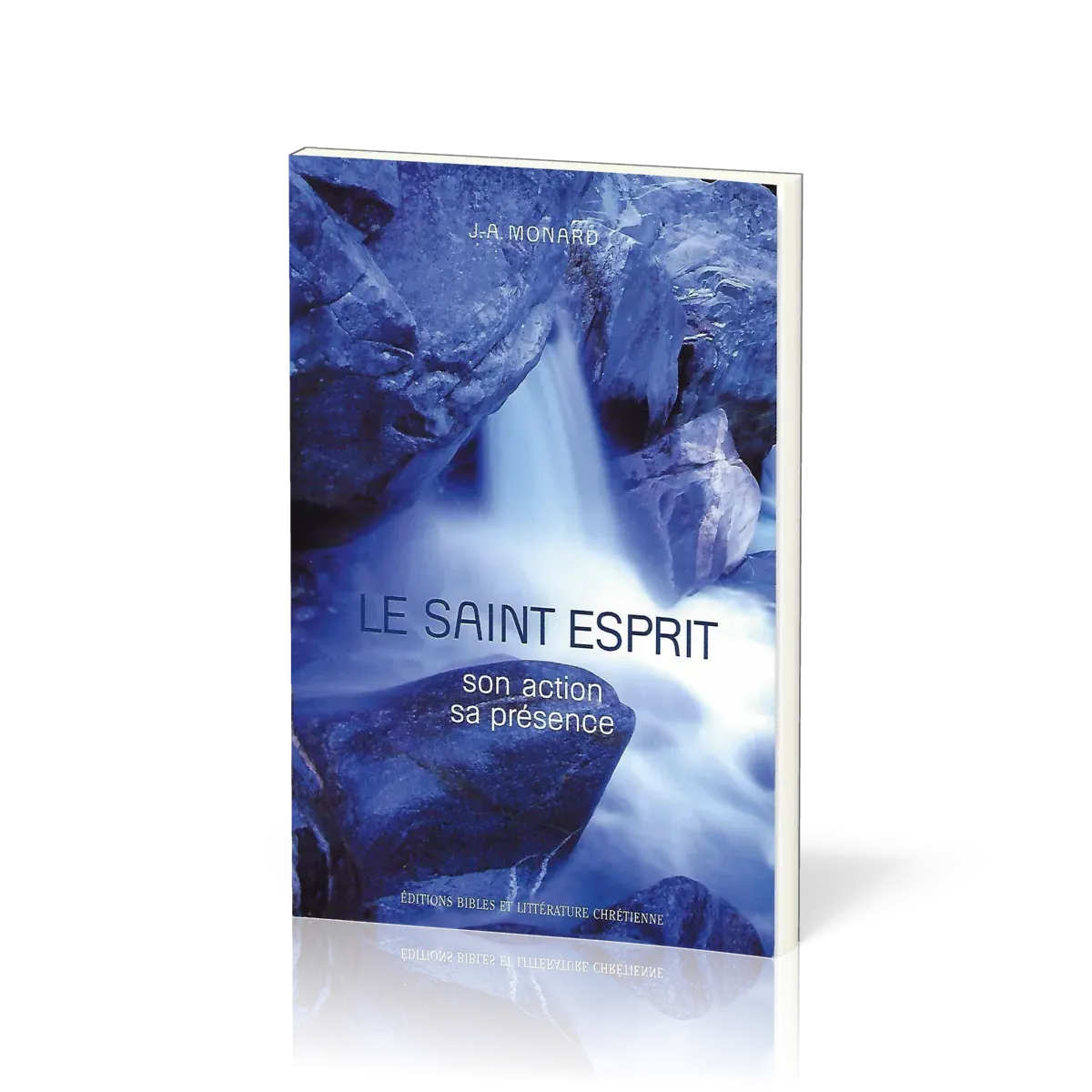 SAINT ESPRIT (LE) - SON ACTION SA PRESENCE