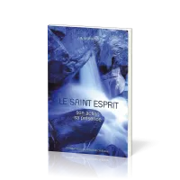 SAINT ESPRIT (LE) - SON ACTION SA PRESENCE