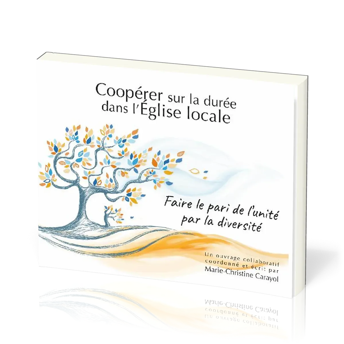 Coopérer sur la durée dans l'église locale - faire le pari de l'unité par la diversité