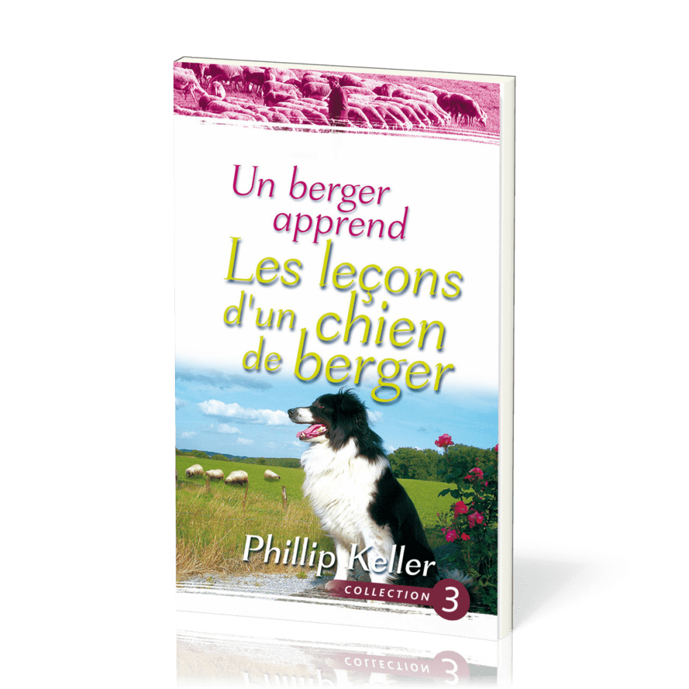 Un berger apprend les leçons d'un chien de berger