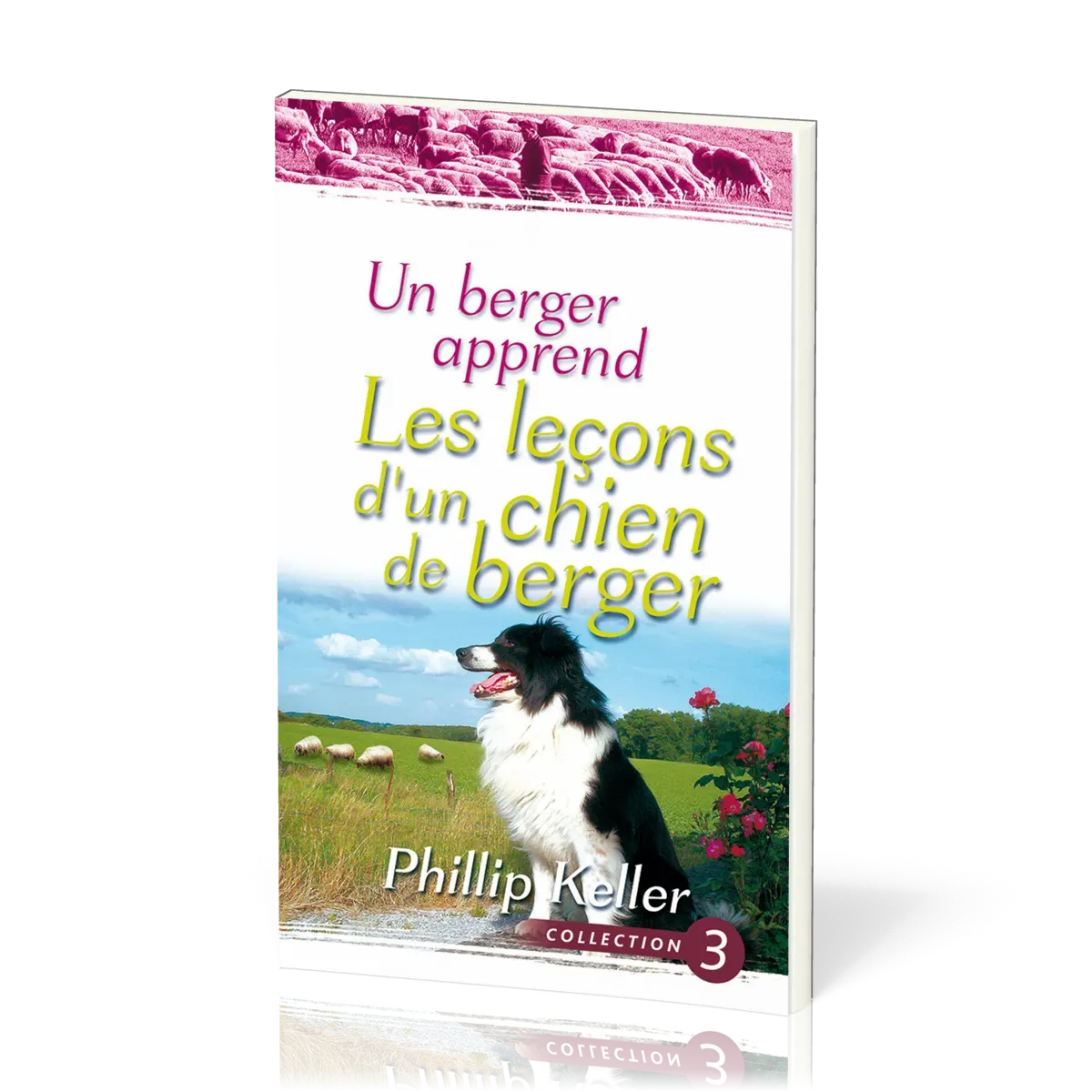 Un berger apprend les leçons d'un chien de berger