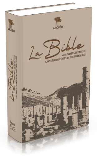BIBLE SEGOND 21 ARCHEOLOGIQUE - COUVERTURE SOUPLE VIVELLA BRUN
