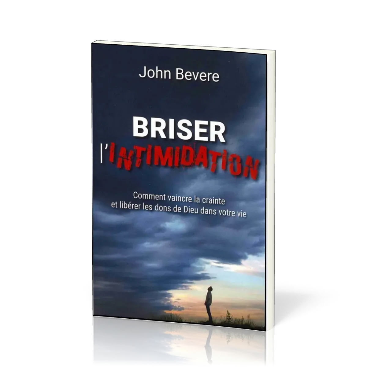 Briser l'intimidation - Nouvelle édition