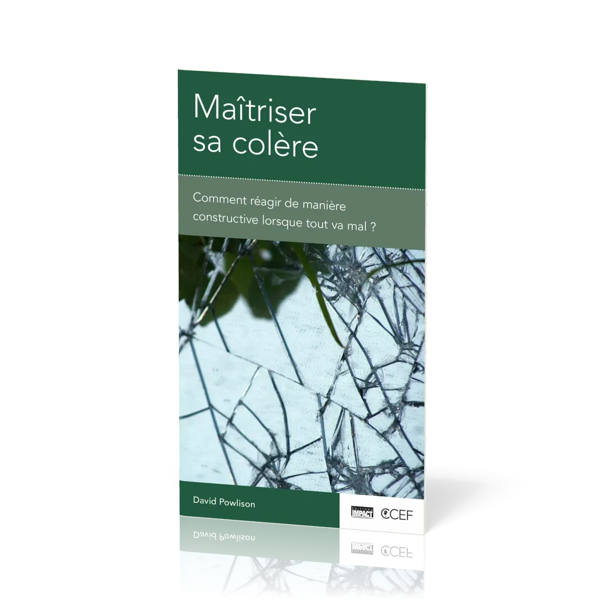Maitriser sa colère- Comment réagir de manière constructive lorsque tout va mal?