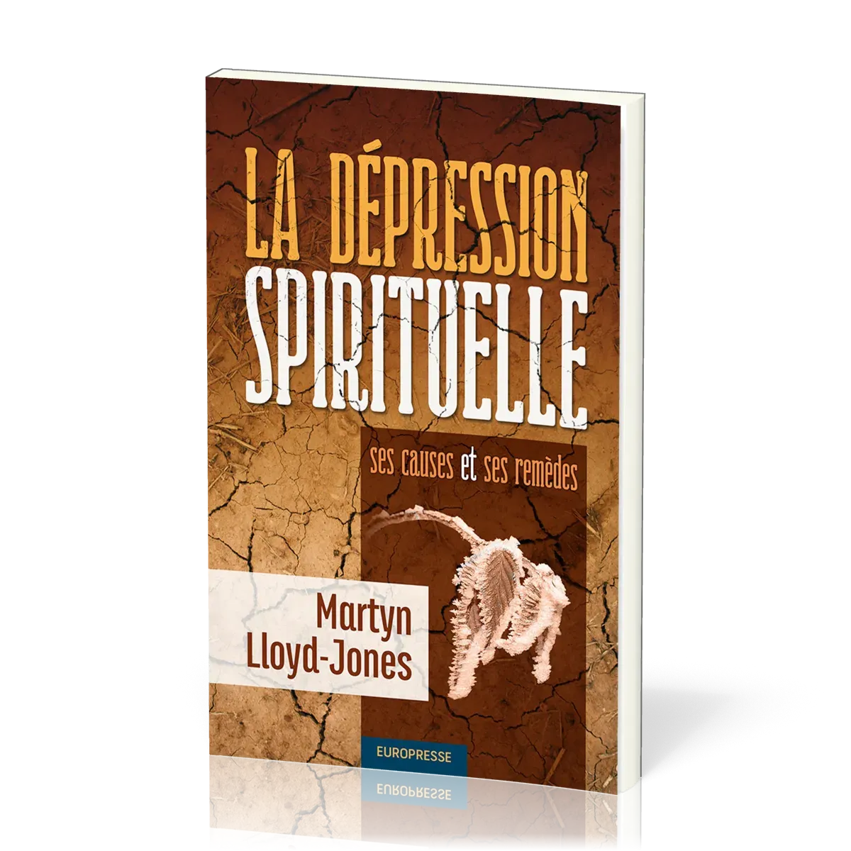 DEPRESSION SPIRITUELLE (LA)