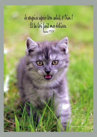 Cadre en bois - Je soupire après ton salut, ô Dieu ! Et ta loi fait mes délices Ps 119:74