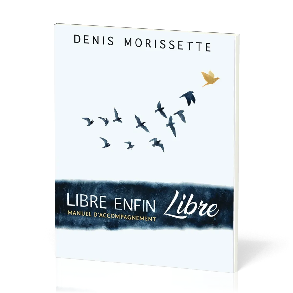 Libre enfin libre ! (Manuel d'accompagnement)